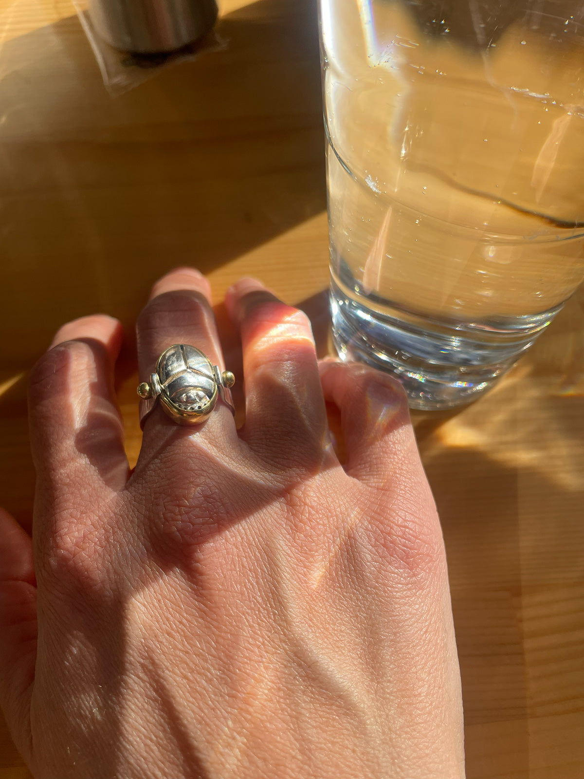 Egyptian Scarab Ring in Silver with Bronze details